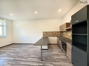 Pronájem bytu 3+kk, Lom, Osecká, 84 m2