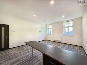 Pronájem bytu 3+kk, Lom, Osecká, 84 m2
