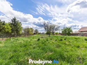 Prodej rodinného domu, Slup - Oleksovičky, 82 m2