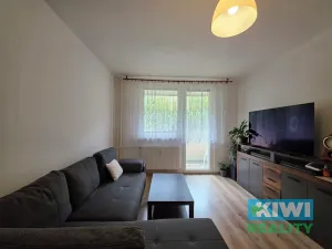 Pronájem bytu 1+1, Orlová, Masarykova třída, 41 m2