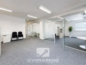 Prodej obchodního prostoru, Mladá Boleslav - Mladá Boleslav IV, Ptácká, 1800 m2