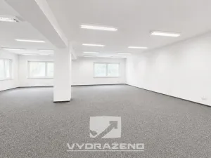 Prodej obchodního prostoru, Mladá Boleslav - Mladá Boleslav IV, Ptácká, 1800 m2