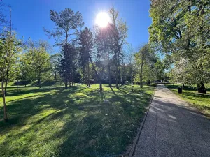 Prodej bytu 1+kk, Lovosice, Sady pionýrů, 25 m2
