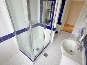 Pronájem vily, Praha - Břevnov, 8. listopadu, 280 m2