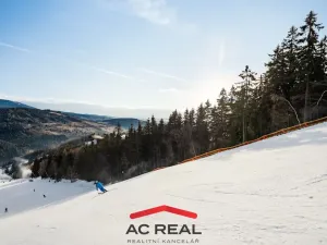 Prodej bytu 4+kk, Vrchlabí - Hořejší Vrchlabí, Horská, 99 m2