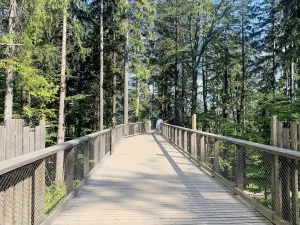 Prodej bytu 2+kk, Vrchlabí - Hořejší Vrchlabí, Horská, 58 m2