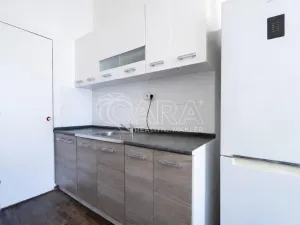Prodej bytu 3+1, Praha - Vinohrady, Orlická, 112 m2