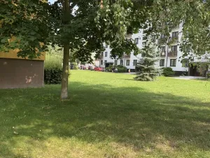 Prodej bytu 1+1, Lázně Bohdaneč, Na Lužci, 45 m2