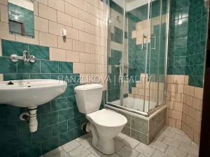 Pronájem bytu 2+kk, České Budějovice - České Budějovice 1, Krajinská, 51 m2