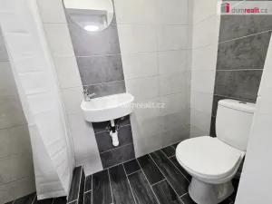 Pronájem bytu 1+kk, Lužná, Nová, 22 m2
