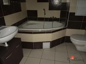 Pronájem bytu 1+kk, Plzeň - Východní Předměstí, Božkovská, 34 m2