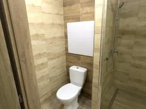 Pronájem bytu 2+kk, Ústí nad Labem - Neštěmice, Mlýnská, 55 m2