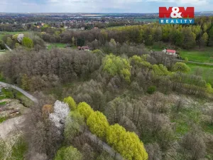 Prodej pole, Dětmarovice, 4130 m2