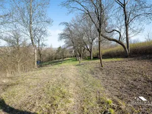Prodej pozemku pro bydlení, Kopidlno, Na Vinici, 8371 m2