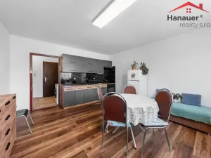 Prodej bytu 2+kk, Děčín - Děčín XXXII-Boletice nad Labem, Čsl. partyzánů, 42 m2