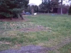 Pronájem zahrady, Ostrava - Stará Bělá, Foltova, 420 m2