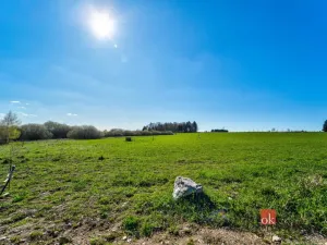Prodej pozemku pro bydlení, Zádub-Závišín - Zádub, 1572 m2