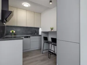 Pronájem bytu 2+kk, Havířov - Podlesí, Okrajová, 39 m2