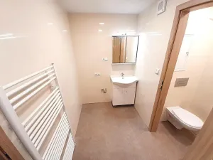 Prodej bytu 3+1, Most, Růžová, 56 m2