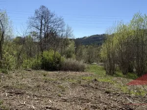 Prodej louky, Sušice, 1971 m2
