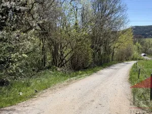 Prodej louky, Sušice, 1971 m2