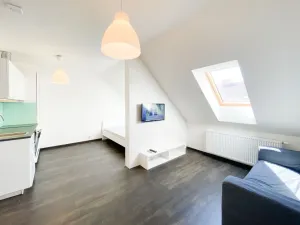 Pronájem bytu 1+kk, Praha - Žižkov, Bořivojova, 35 m2