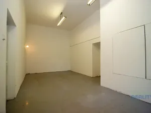 Pronájem skladu, Brandýs nad Labem-Stará Boleslav, Pražská, 73 m2