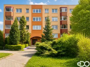 Prodej bytu 2+1, Havířov, Mládí, 43 m2