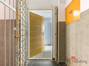 Prodej bytu 2+kk, Praha - Žižkov, Hartigova, 47 m2