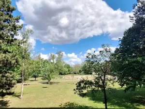 Pronájem bytu 3+1, Hradec Králové - Slezské Předměstí, Severní, 65 m2
