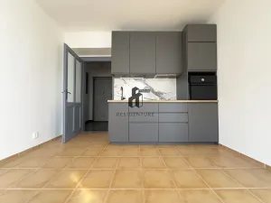 Pronájem bytu 2+kk, Praha - Žižkov, Radhošťská, 50 m2