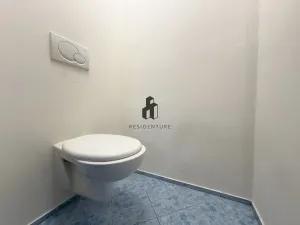 Pronájem bytu 2+kk, Praha - Žižkov, Radhošťská, 50 m2