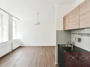 Pronájem bytu 1+kk, Praha - Vinohrady, Lucemburská, 30 m2