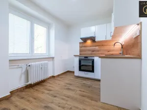 Prodej bytu 1+1, Kladno, Sevastopolská, 30 m2