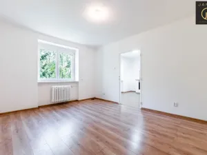 Prodej bytu 1+1, Kladno, Sevastopolská, 30 m2