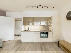 Pronájem bytu 1+kk, Praha - Karlín, U Sluncové, 33 m2
