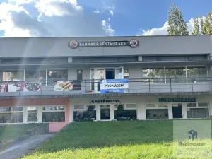 Prodej obchodního prostoru, Ústí nad Labem - Ústí nad Labem-centrum, SNP, 2912 m2