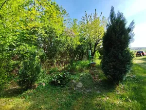 Prodej chaty, Heřmanův Městec, 70 m2
