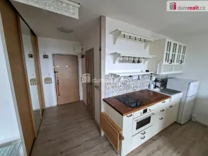Pronájem bytu 1+kk, Praha - Kamýk, Písnická, 34 m2