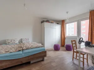 Prodej bytu 1+1, Brno, Turgeněvova, 49 m2