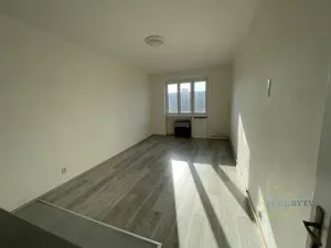 Pronájem bytu 1+kk, Praha - Nusle, V Horkách, 35 m2