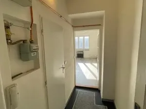 Pronájem bytu 1+kk, Praha - Nusle, V Horkách, 35 m2
