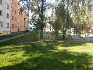 Pronájem bytu 2+1, Ostrava, Hasičská, 56 m2