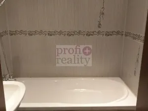 Pronájem bytu 2+1, Ostrava, Hasičská, 56 m2
