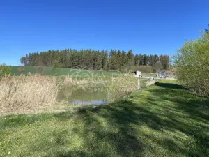 Prodej chaty, Chotýšany, 39 m2