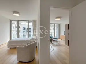 Pronájem bytu 2+kk, Praha, Holečkova, 74 m2