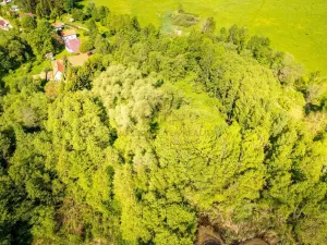 Prodej pozemku, Benešov nad Černou - Hartunkov, 5446 m2