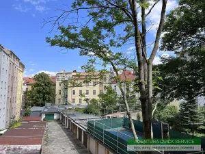 Pronájem bytu 1+kk, Praha - Žižkov, Kubelíkova, 29 m2