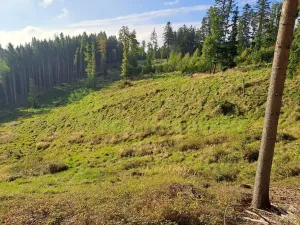 Prodej lesa, Zlín, Modřínová, 152613 m2