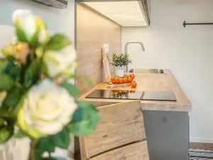Prodej bytu 1+kk, Janov nad Nisou, 27 m2